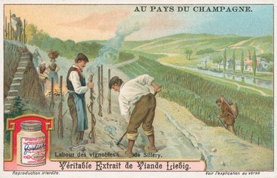 Champagne, Liebig-kort, begyndelsen af det 20. århundrede (chromo) af European School