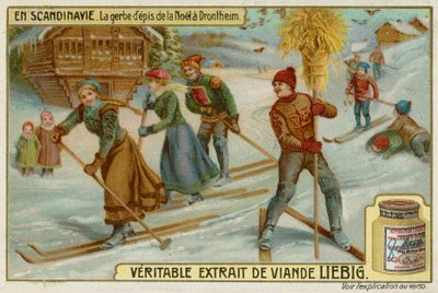 Christmas Wheatsheaf i Trondheim af European School