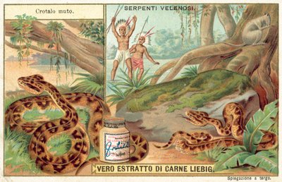 Copperhead (chromolitho) af European School