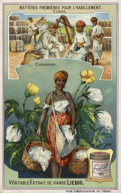 Cotton: cotton picker  af European School