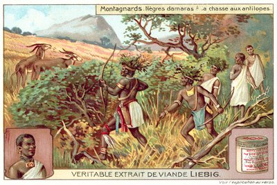 Damaras, der jager antiloper (chromolitho) af European School