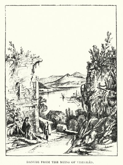 Donau fra ruinerne af Visegrad (gravering) af European School