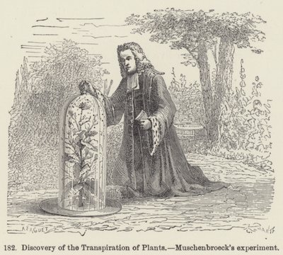 Discovery of the Transpiration of Plants, Muschenbroecks eksperiment (gravering) af European School