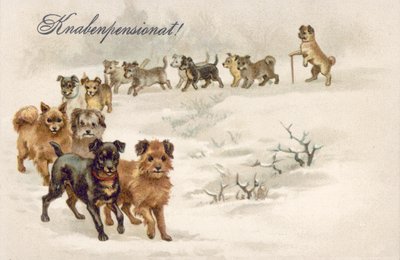 Postkort med hund (farvelitografi) af European School