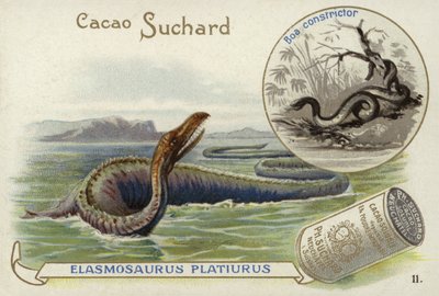 Elasmosaurus og boa constrictor af European School