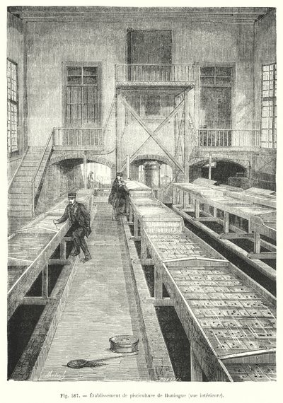 Huningue dambrug, indvendig udsigt. (gravering) af European School
