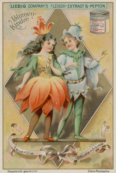 Fire Lily og Bluebell af European School
