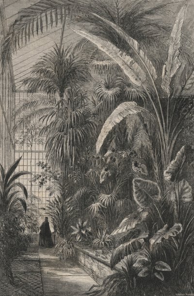 Great Greenhouse of the Museum of Paris (gravering) af European School