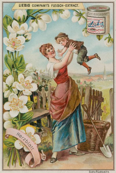 Parnassos græs af European School