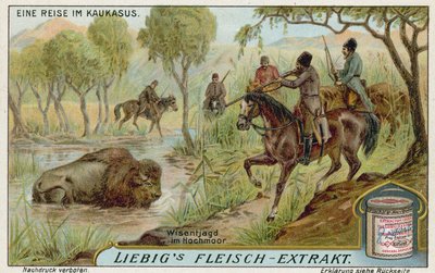 Hunting bison in a swamp  af European School