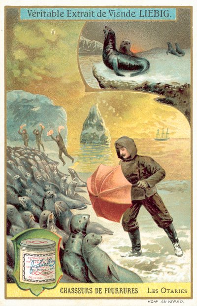Jagt søløver (chromolitho) af European School