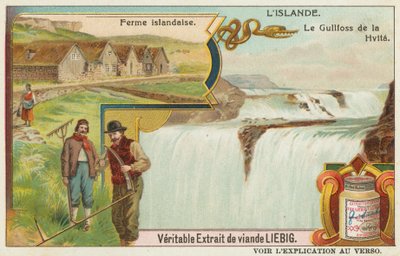 Islandsk gård og Gullfoss (det gyldne vandfald) på Hvita af European School