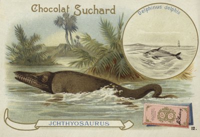 Ichthyosaur og almindelig delfin af European School