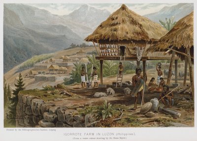 Igorrote Farm i Luzon, Filippinerne (chromolitho) af European School