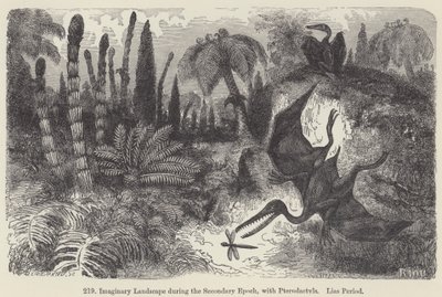 Imaginært landskab under den sekundære epoke, med Pterodactyler, Lias-periode (gravering) af European School
