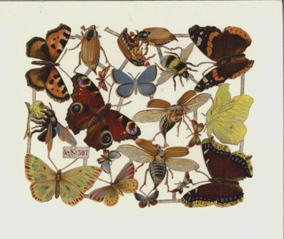 Insekter (chromolitho) af European School