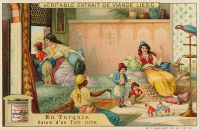 Inde i en rig tyrkers harem af European School