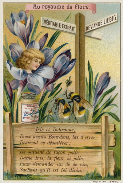 Iris and bumblebees  af European School