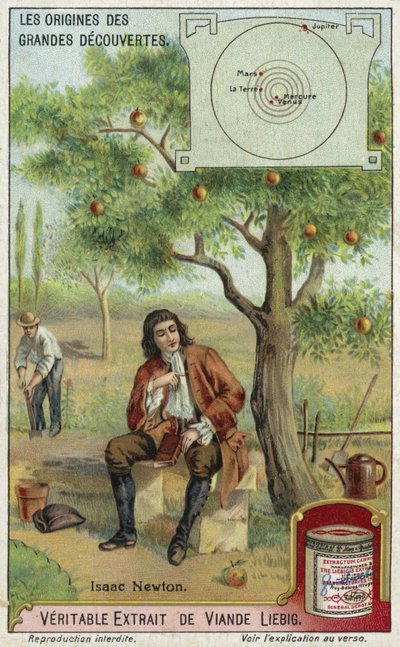 Isaac Newton and gravity  af European School