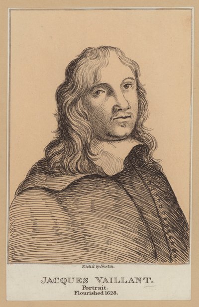 Jacques Vaillant, hollandsk maler (radering) af European School
