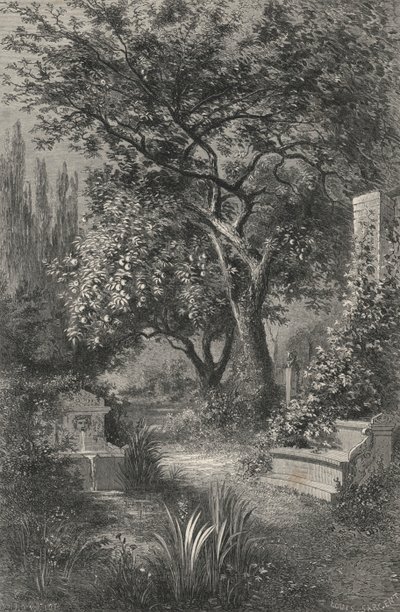 Alcinous Garden (gravering) af European School