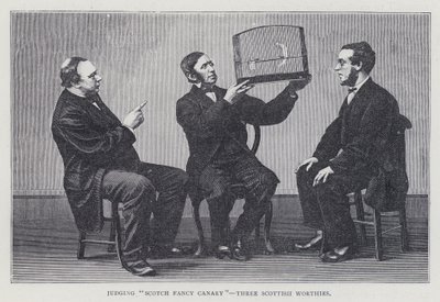 Bedømmelse af "Scotch Fancy Canary", Three Scottish Worthies af European School
