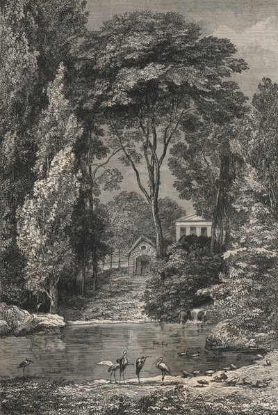 Den schweiziske dal i Jardin Des Plantes De Paris (gravering) af European School