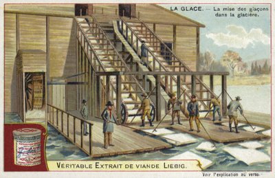 Loading ice into an icehouse  af European School