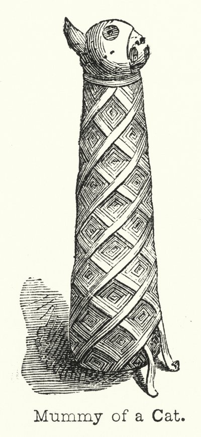 Mummy of a Cat (gravering) af European School