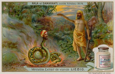 Nala redder slangen Naga Karkotaka af European School