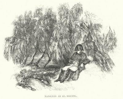 Napoleon ved St. Helena (gravering) af European School
