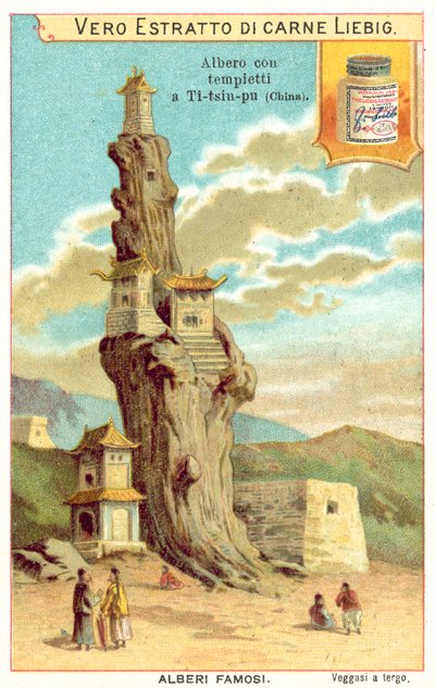 Gammelt træ med templer på det i Kina (chromolitho) af European School