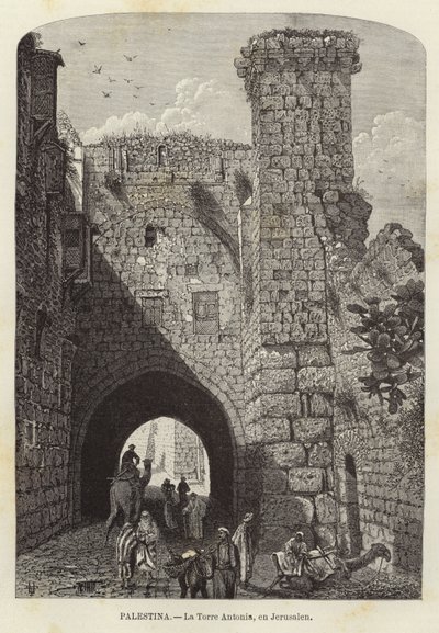 Palæstina, Antonia Tower, i Jerusalem af European School