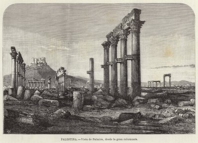 Palæstina, Udsigt over Palmyra, fra den store søjlegang af European School