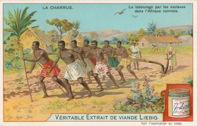 Plov, Liebig-kort, begyndelsen af det 20. århundrede (chromo) af European School