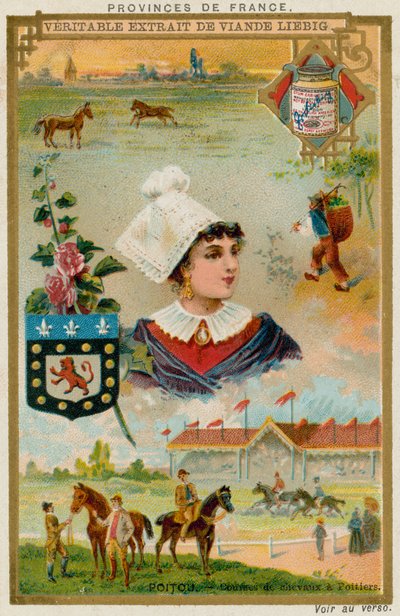 Poitou af European School