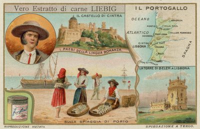 Portugal af European School