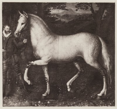 Dronning Elizabeths hest (litho) af European School