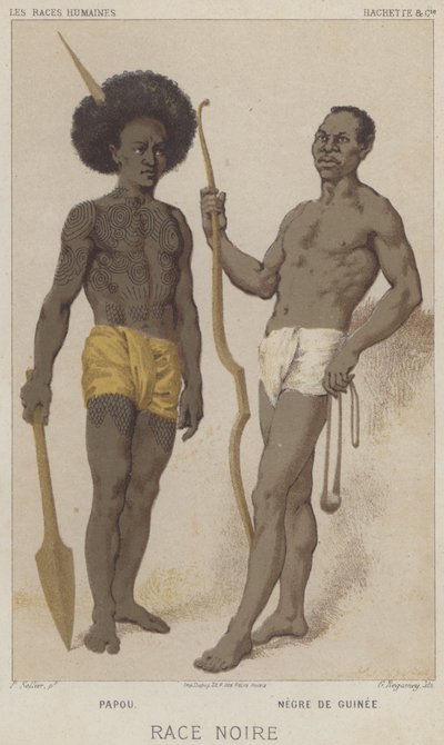 Black Race, Papuan, Black fra Guinea (chromolitho) af European School