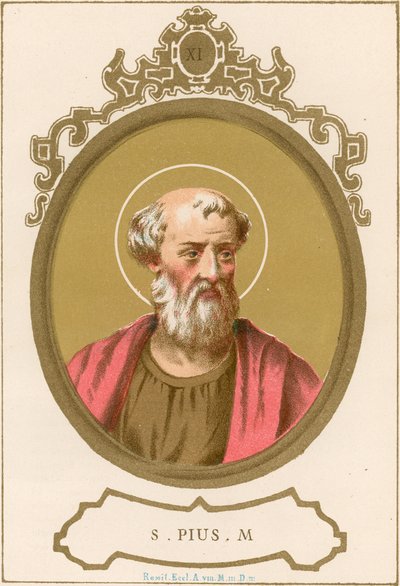 S Pius M af European School