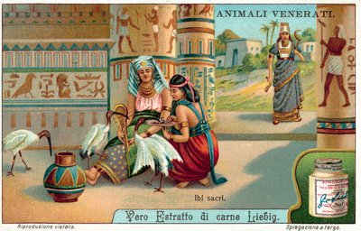 Hellig ibis i det gamle Egypten (chromolitho) af European School