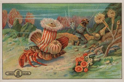 Scene på havbunden (chromolitho) af European School