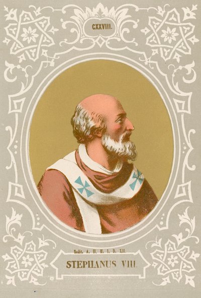 Stephen VIII af European School