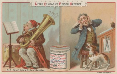 De fem sanser: hørelse af European School