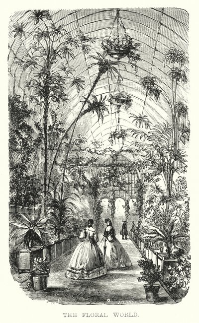 The Floral World (gravering) af European School
