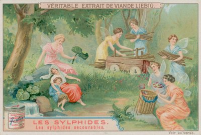 De hjælpsomme sylfer af European School