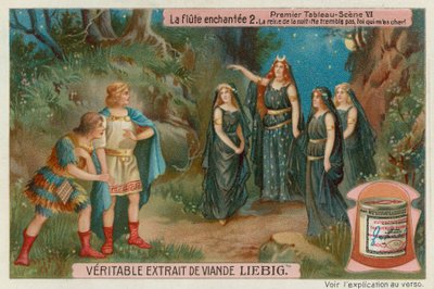 Nattens Dronning møder Tamino og Papageno af European School