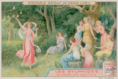 Sylferne danser med sommerfugle af European School