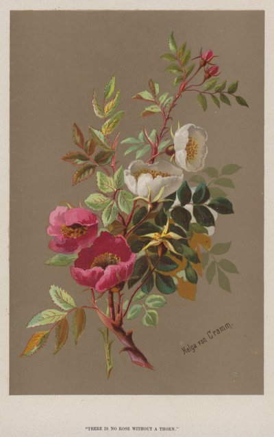"Der er ingen rose uden en torn" (chromolitho) af European School