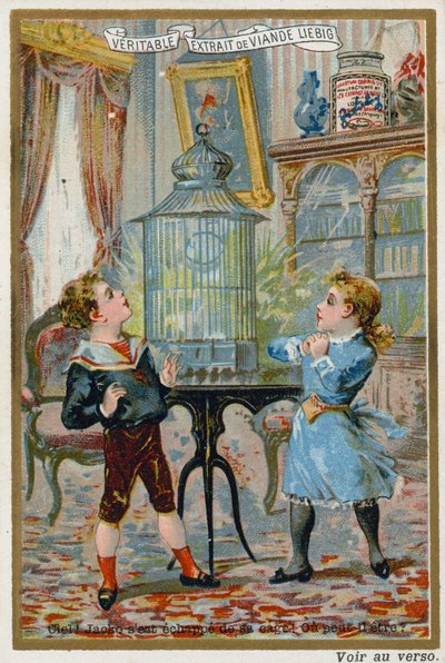 Two children wondering where their pet caged bird has escaped to  af European School